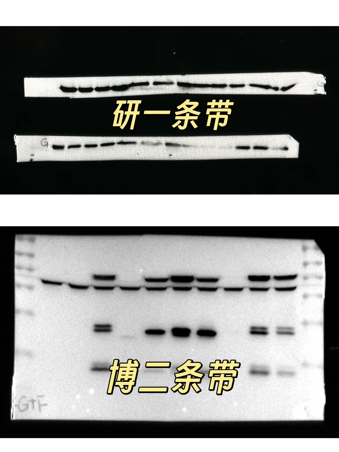 经验贴～分享下跑了5年wb的心得🥸