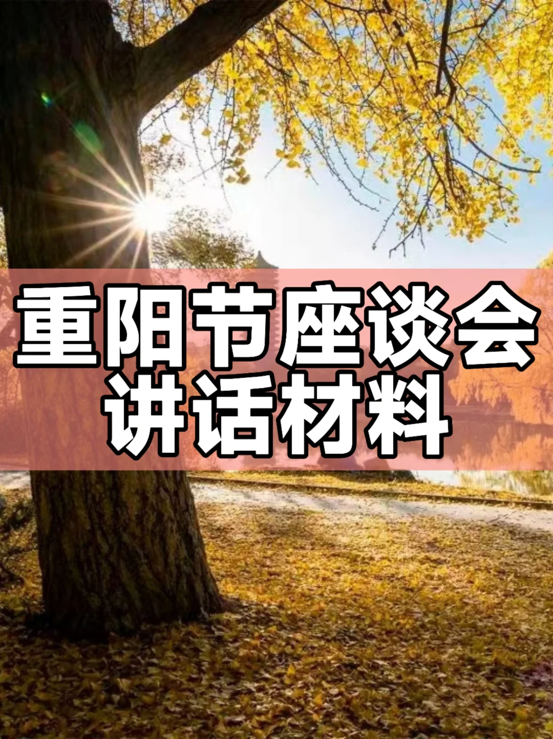 体制内：重阳节座谈会讲话材料