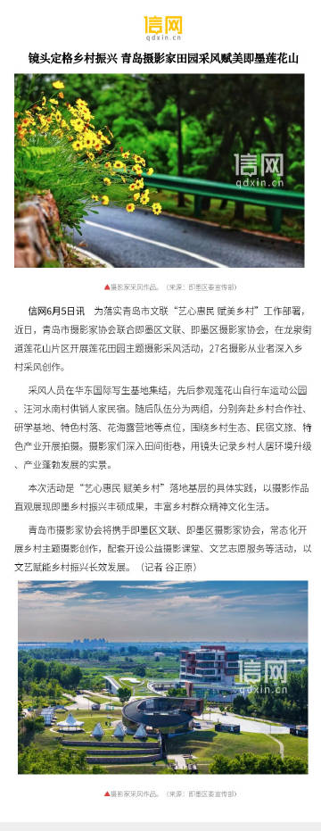 【镜头定格乡村振兴 青岛摄影家田园采风赋美即墨莲花山】采风人员在华东国...