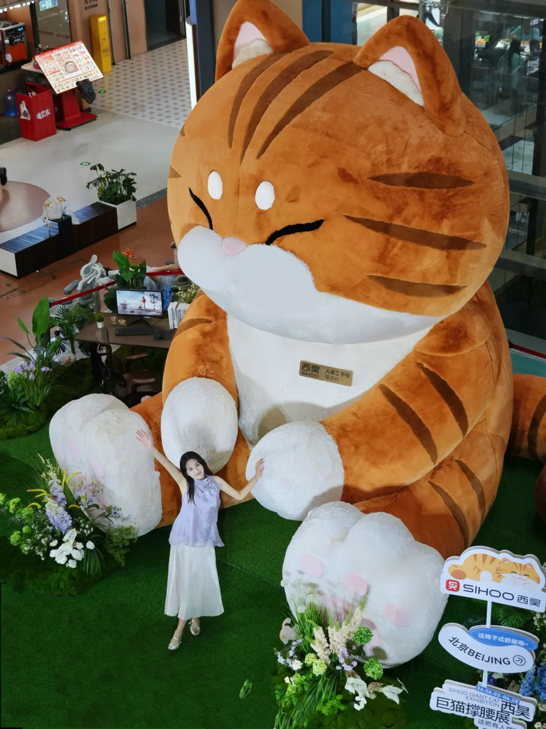 北京！超极合生汇偶遇5m巨猫🐱西昊太会整活