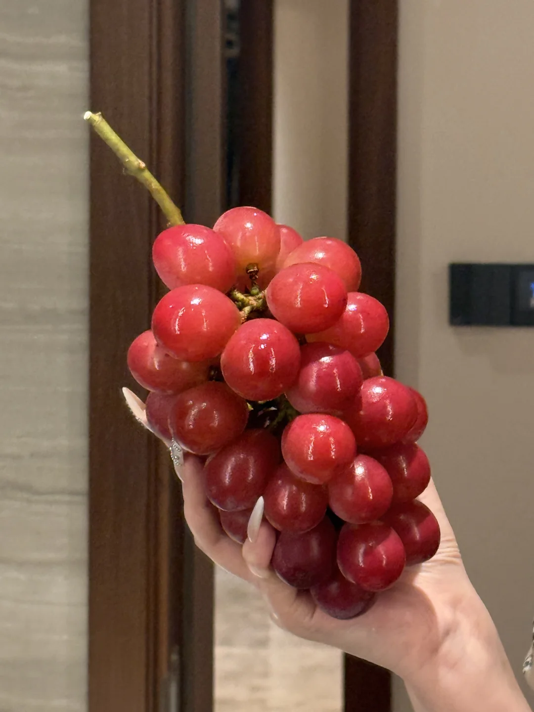 只有足够香甜的葡萄才配进我的肚子