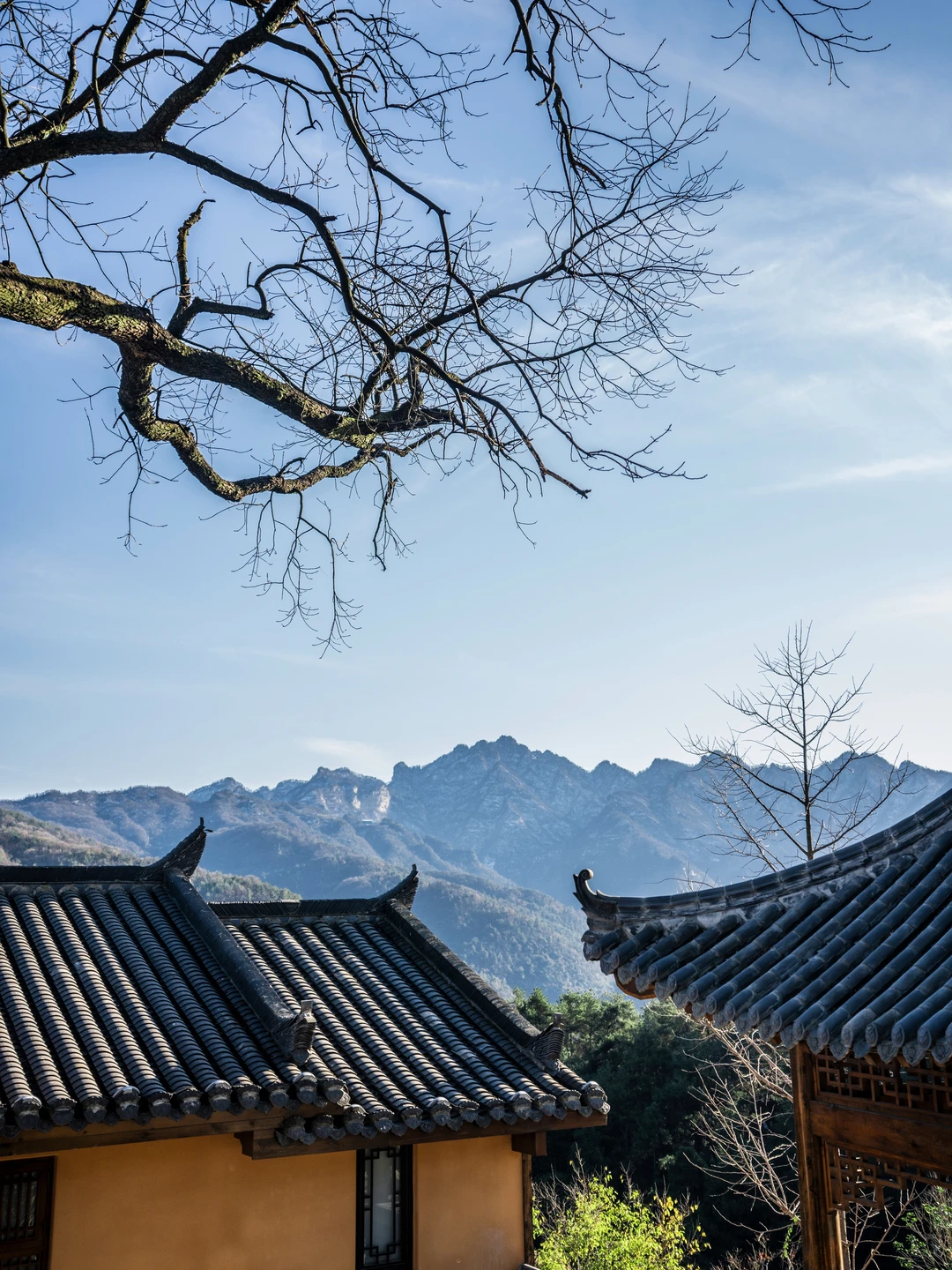 我宣布❗武当山就是清修的天堂｜后劲夯夯的