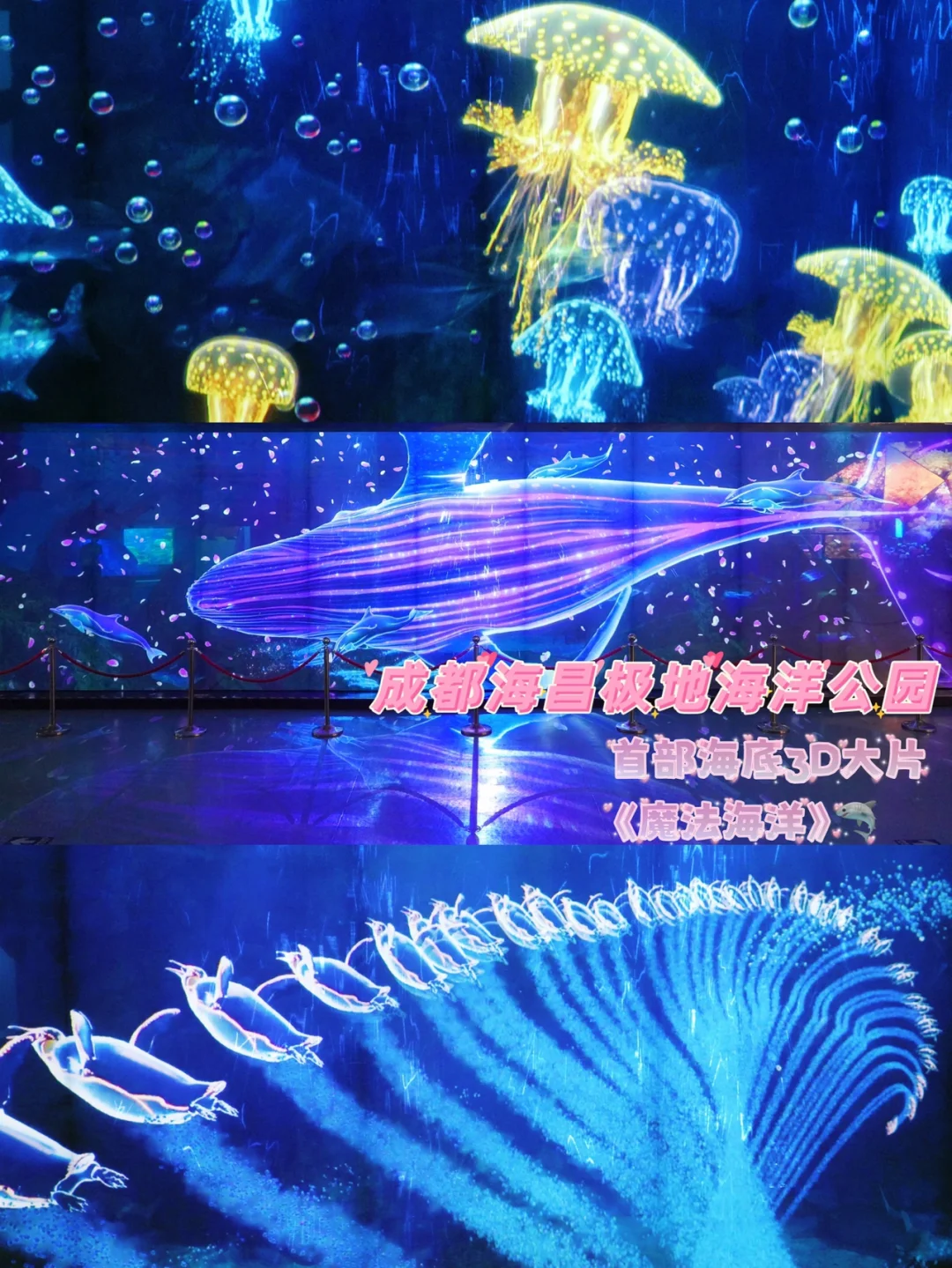 探秘裸眼3D《魔法海洋》沉浸式逛海底，妙极了