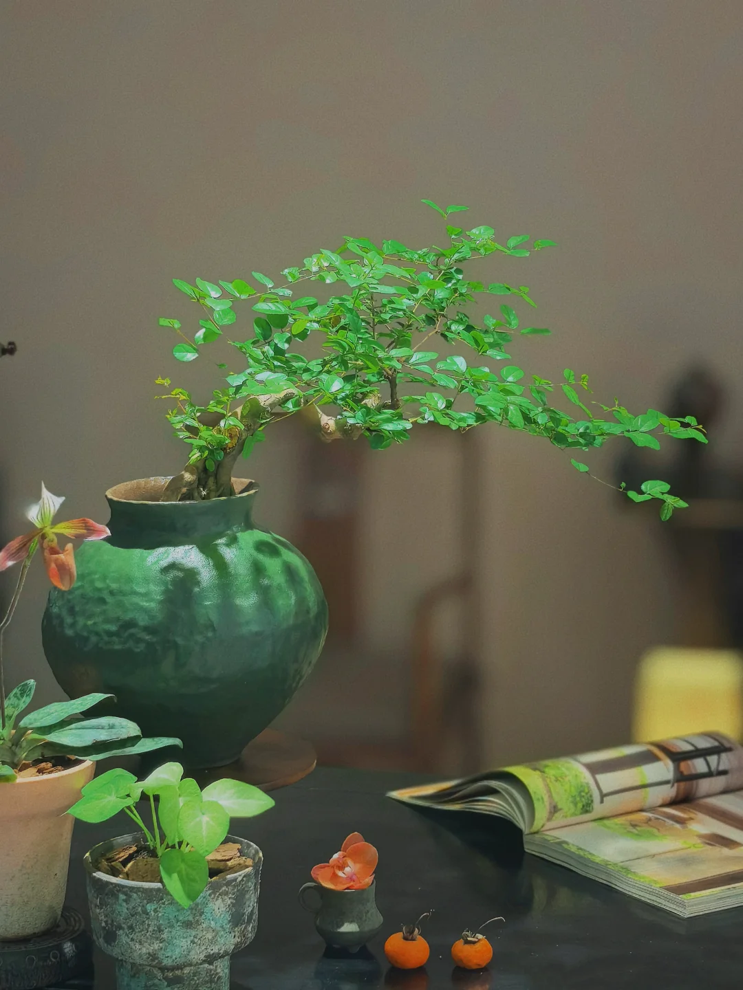 “没点艺术细胞还真刷不到我”