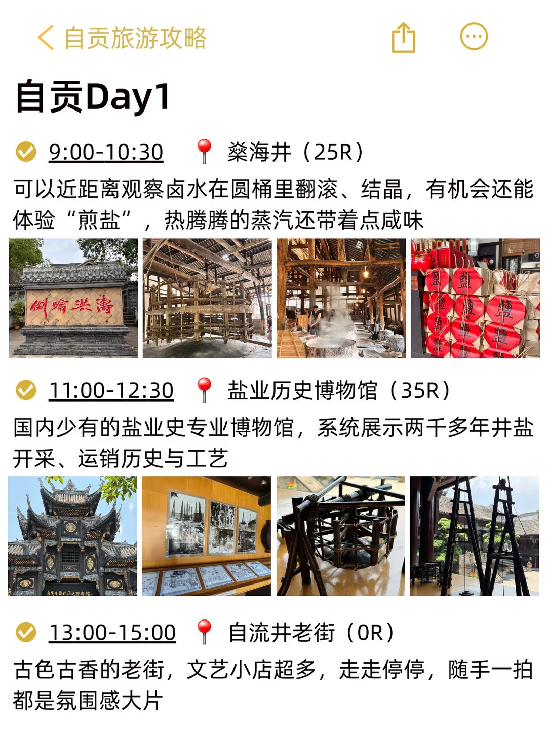 卧。。。被自己做的自贡旅游攻略震惊到