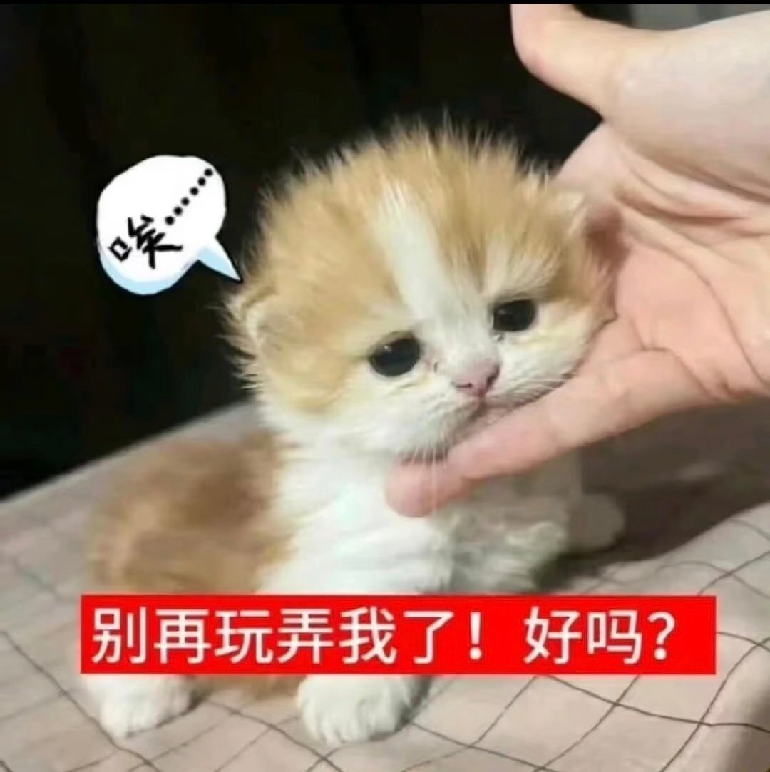 老师，我们家白菜的胃本来就不好，去了🇯🇵可咋办吧，有比这次名古屋亚运会主办方更草台班子的草台班子吗。真神了…… ​
