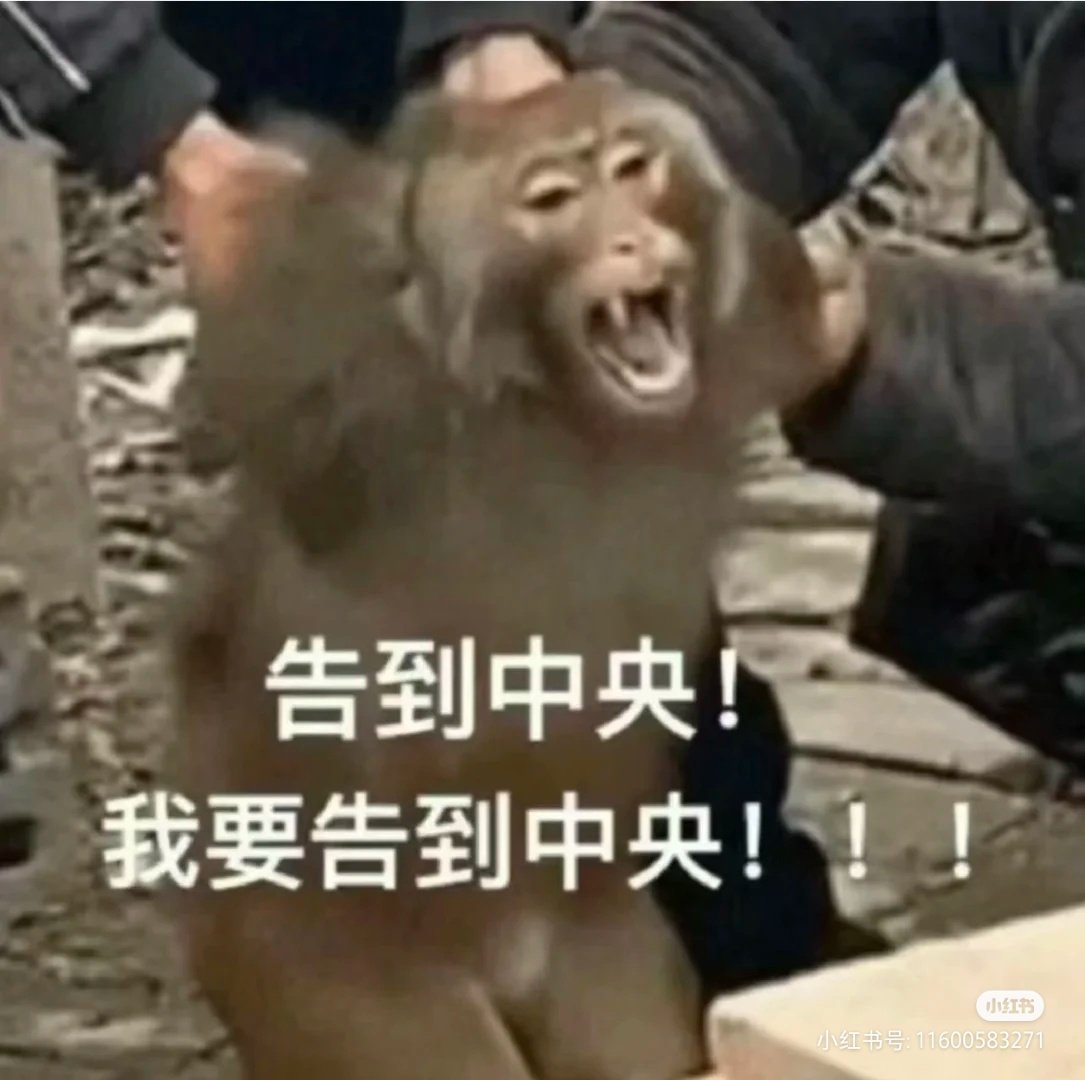 我给kimi和gtp喂一个字节都要让dk斟酌三遍。就快要九思成圣了的同时某个富哥告诉我他在烧token做读书笔记治失眠。我问他效果如何，他说之前至少2点多睡现在12点就睡了。
我说那是你TMD是从喀什回福清太阳早下山了不是TMD失眠。 ​