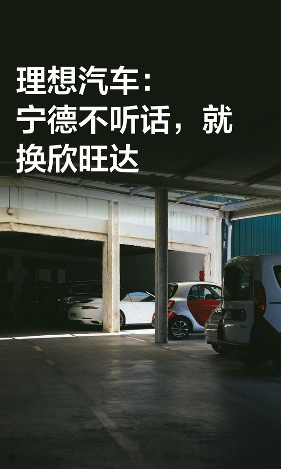 理想：宁德不听话，就换欣旺达