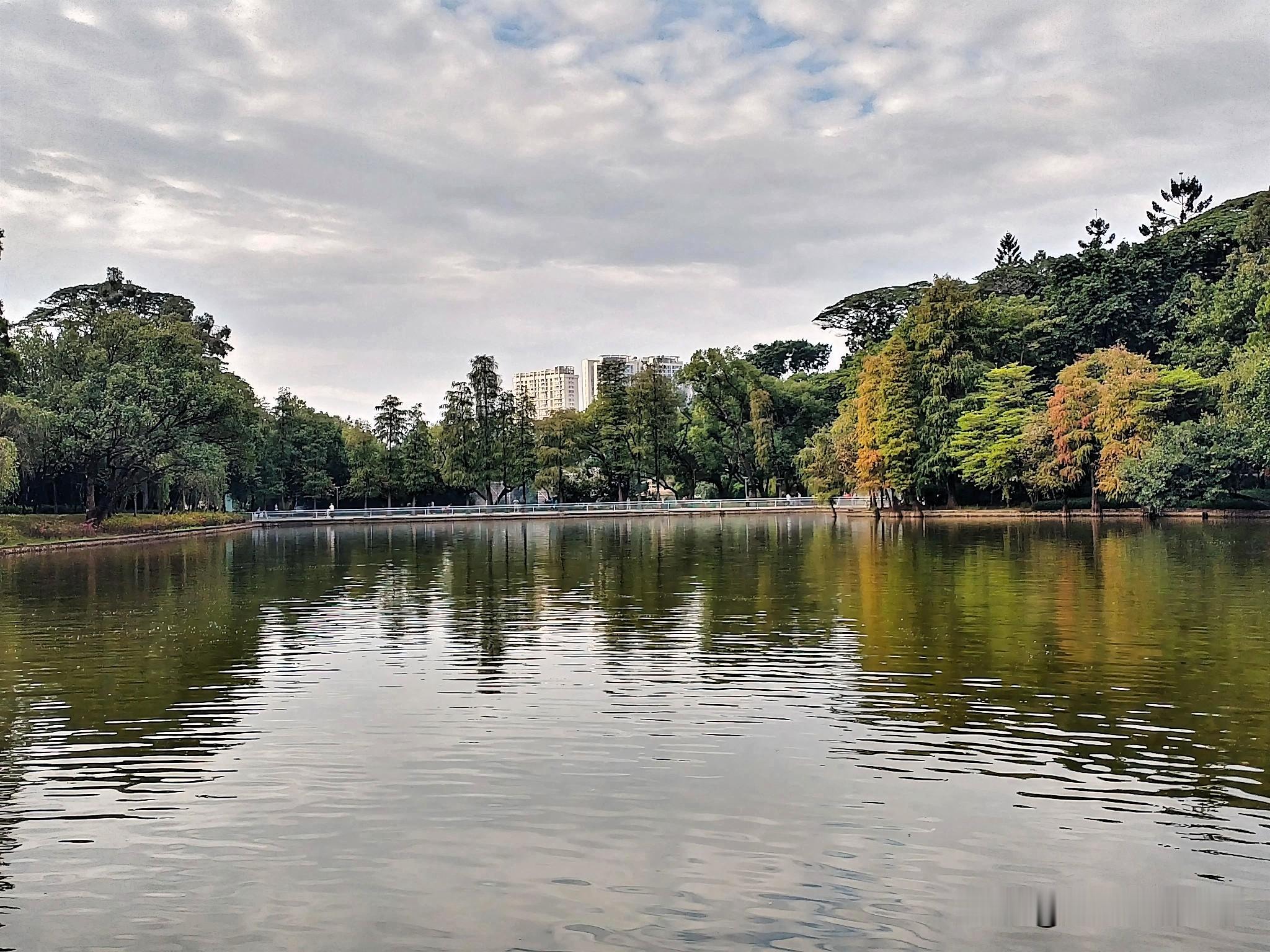 <p>冬日生活打卡季美丽的天河公园 <!--{img:0}--></p...