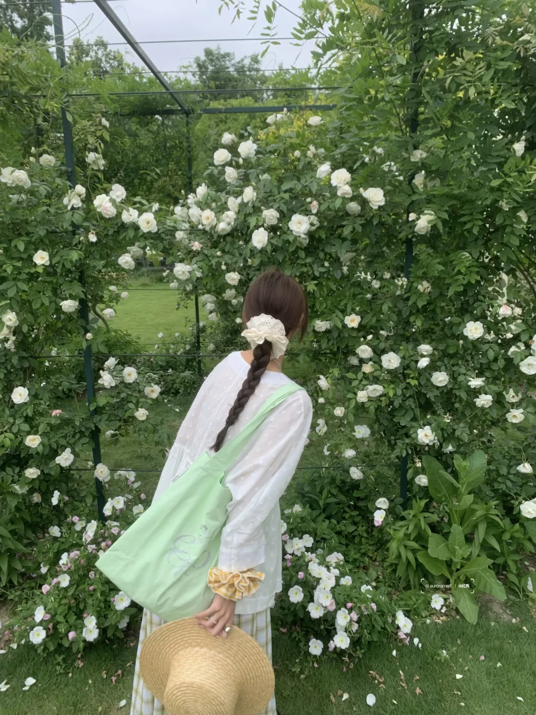 韩韩的🫧.𖥧𓇣