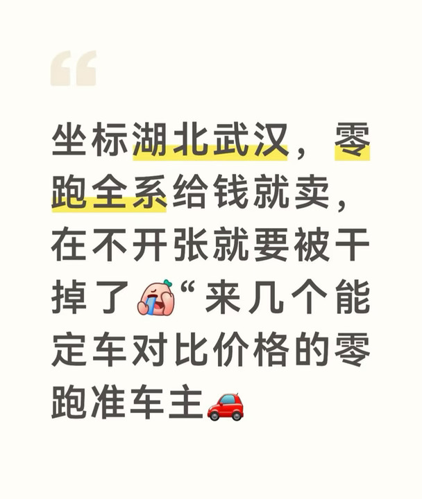 谁在武汉想卖零跑？