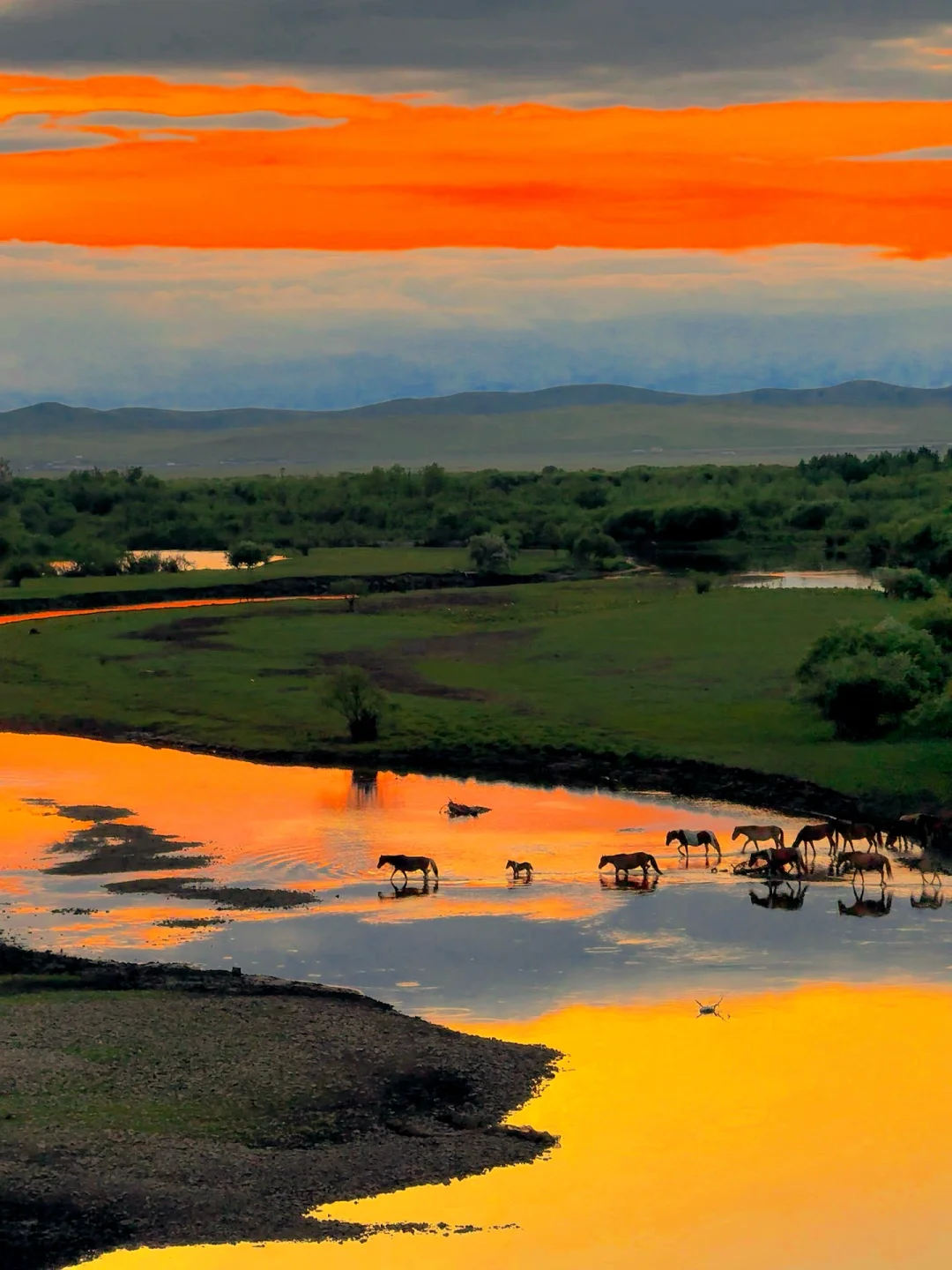 Live图的意义，呼伦贝尔第一天就美哭了😭😭