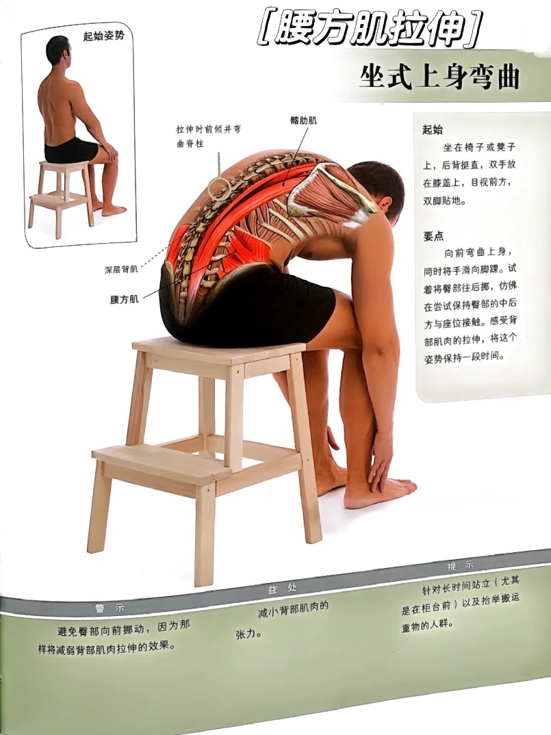 3个动作教你拉伸腰方肌👩‍🦽