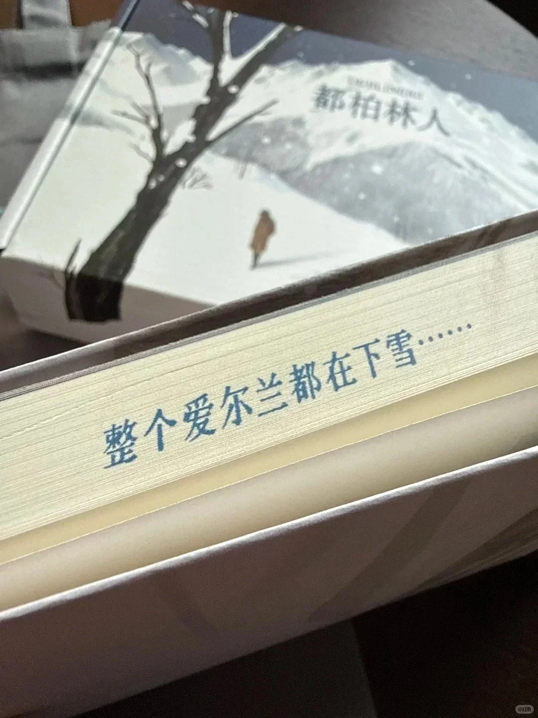 美哭…不愧是西方文学史上最有名的一场雪