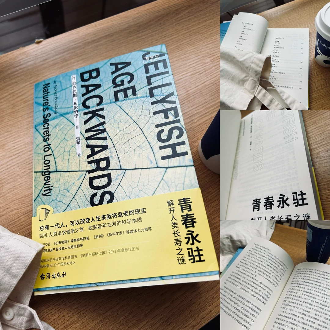 ☕️我在咖啡店找到了“长寿之谜”