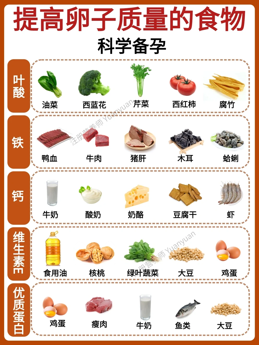 科学备孕攻略| 附饮食指导 备孕检查清单