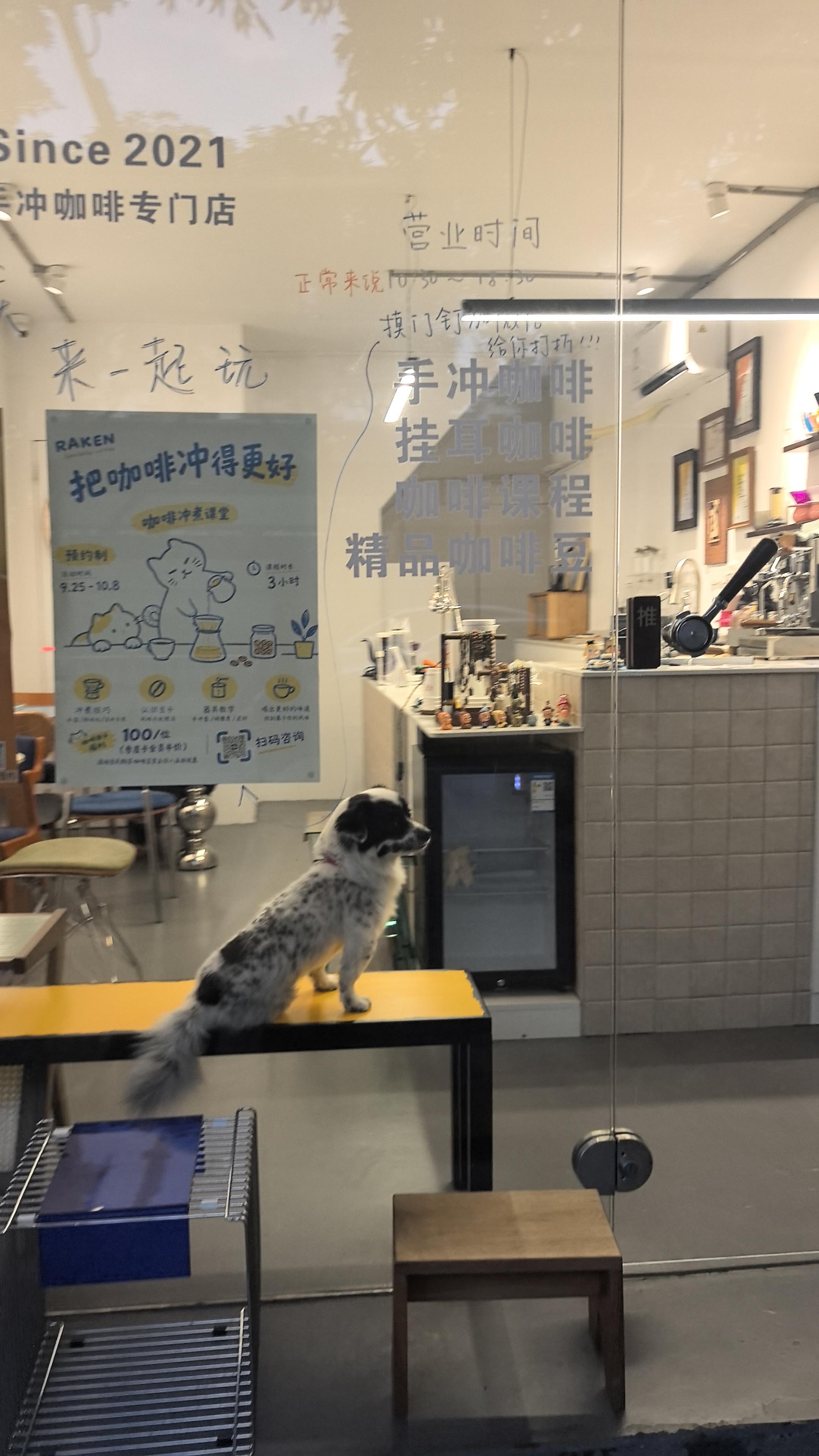 “很多癌症都源于慢性炎症背景”这一说法基本正确，全球约1/6的癌症由感染引起的慢性炎症所致，它像一片悄无声息的“沃土”，通过持续损伤DNA为癌变埋下隐患。  一、核心机制：炎症如何“喂养”癌症- 持续