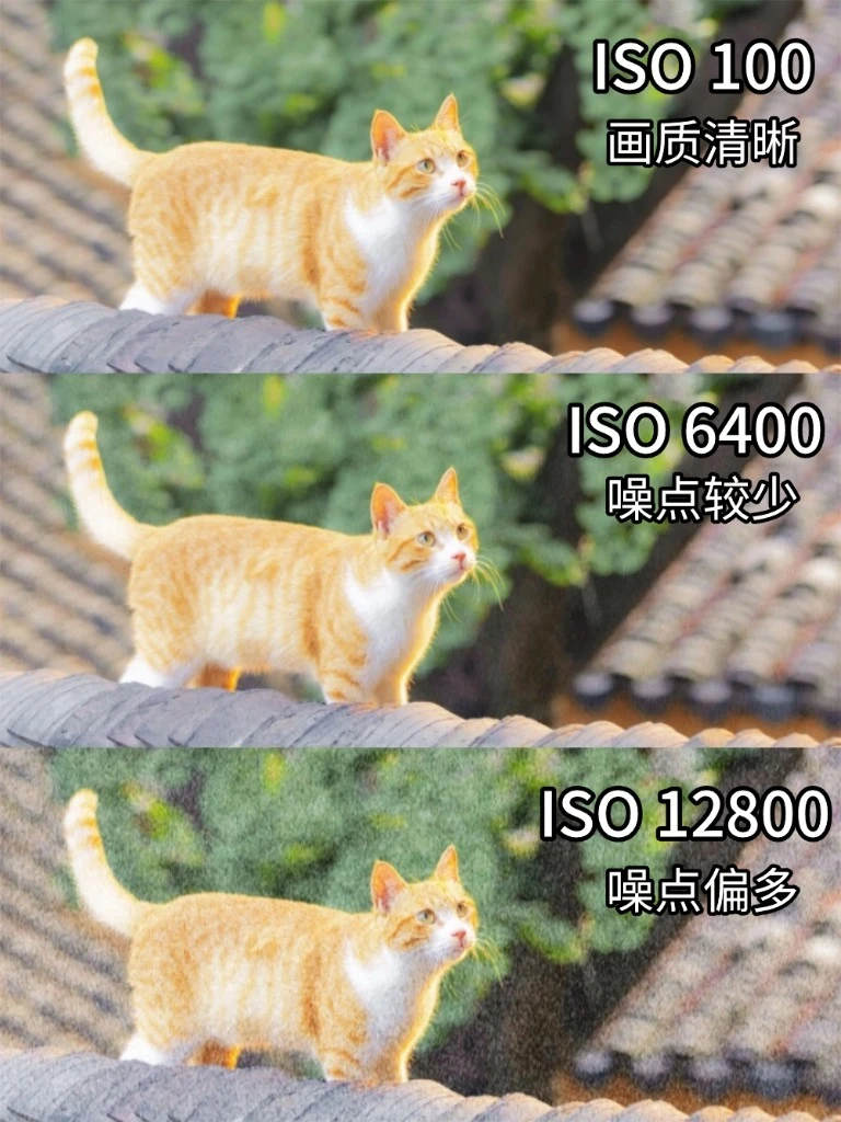 当我学会了曝光三要素！！