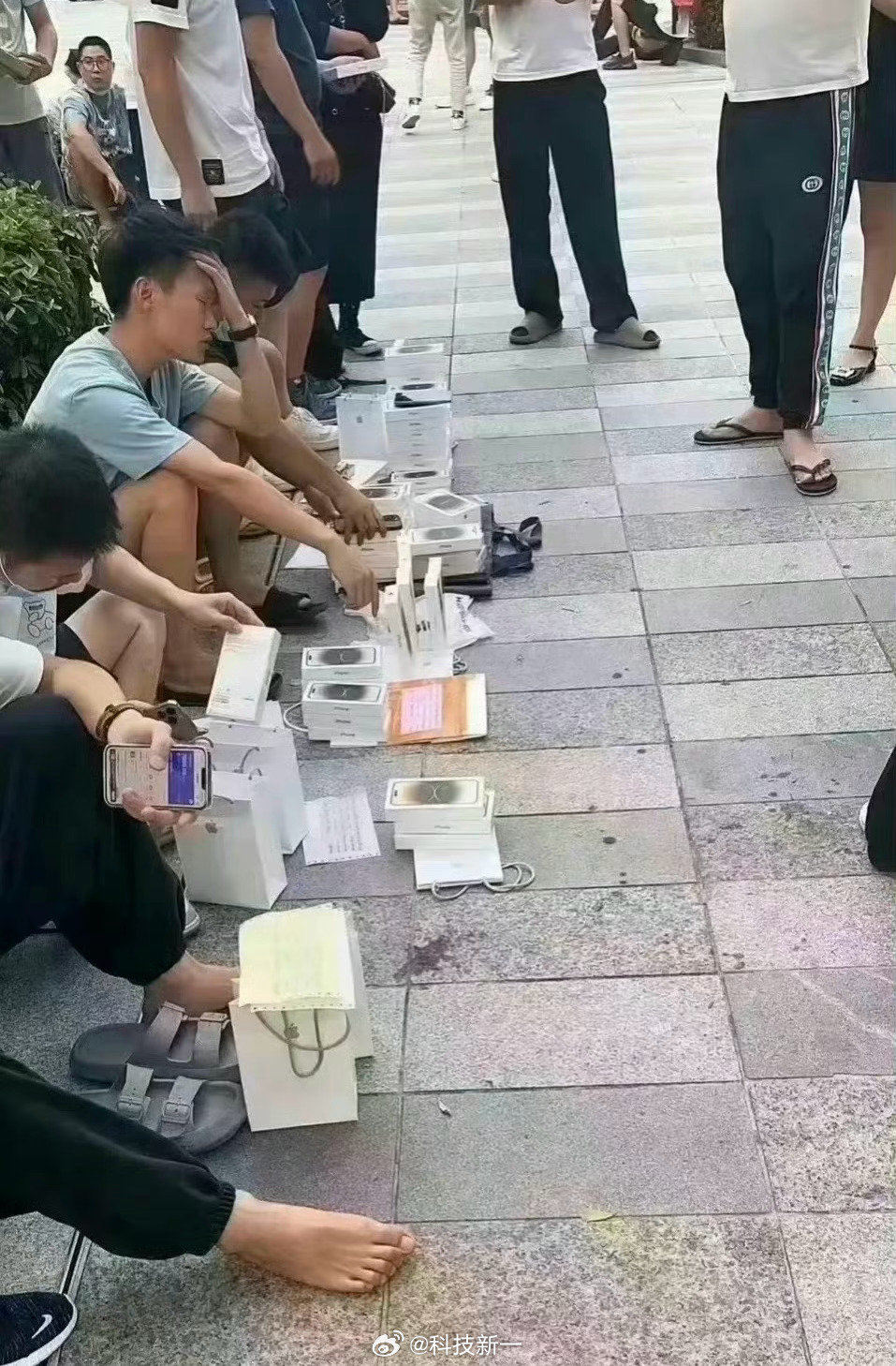 今年的iPhone Duo单价高，黄牛压货成本会很高。只要大家第一天都不买黄牛的，第二天黄牛的价格就要崩。所以科技新一号召大家：抵制黄牛！同意的点赞[doge]#iPhoneDuo商家近百万元订单遭压价# ​