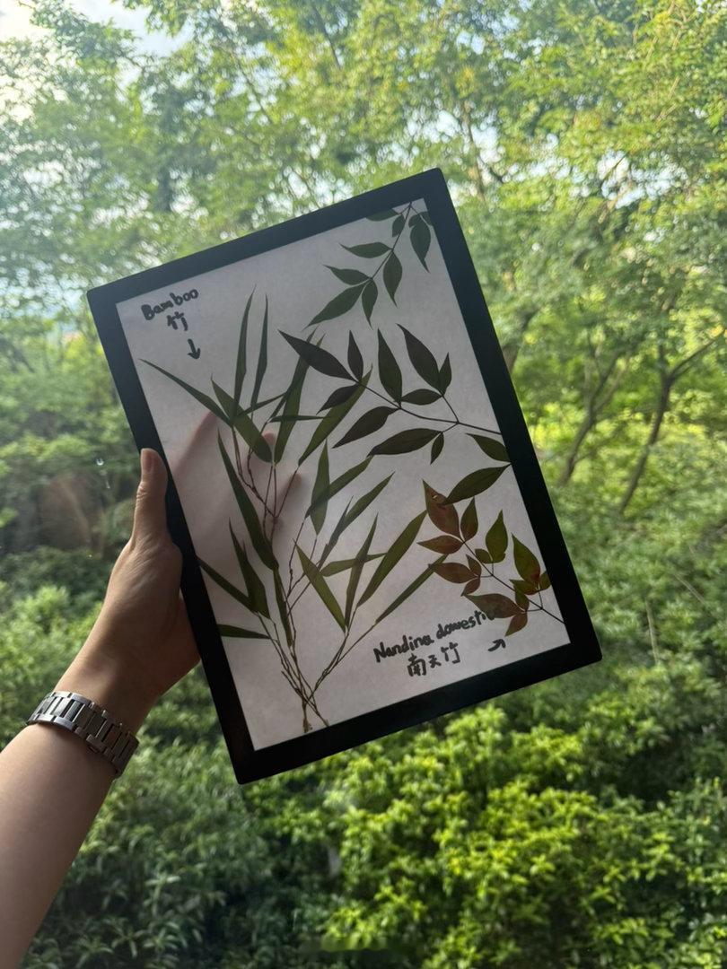 来贵州度假做手工[微风]  ​​​