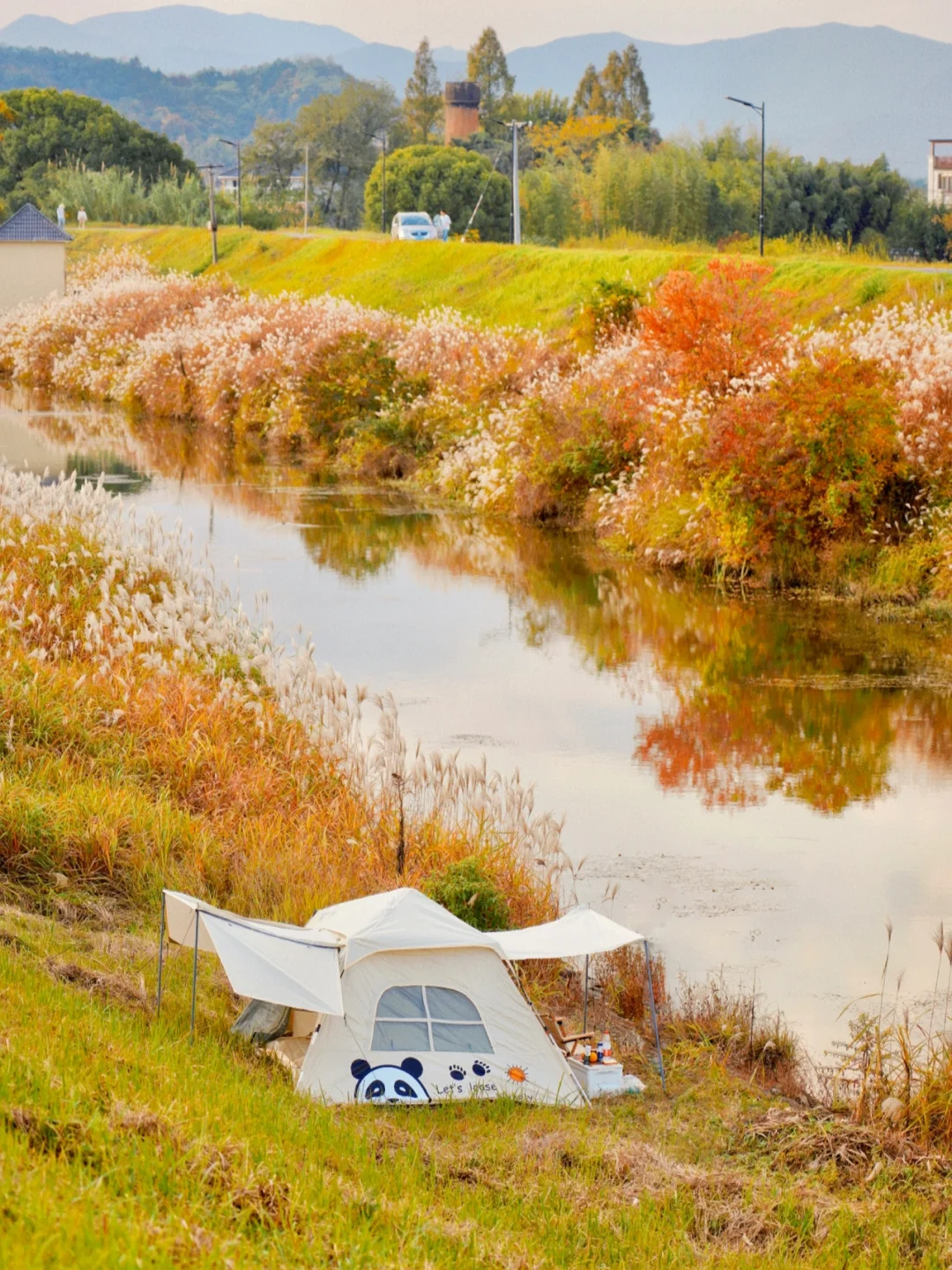 藏在余杭的世外桃源🍂，秋日油画感露营地⛺️