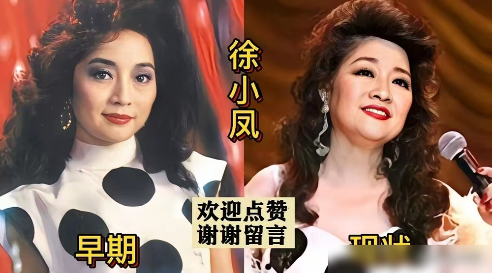 谭咏麟在《声生不息》上唱了《一生何求》。七十四岁的人，嗓子早不复当年清亮，可那句没料到我所失的，竟已是我的所有，他唱得格外沉。
陈百强走的时候三十五岁。邓丽君四十二。张学友还在唱，但台下跟着和的人，鬓角都白了。说不清是经典需要时间，还是人需要经典来确认自己曾年轻过。薛凯琪把《甜蜜蜜》唱得甜而轻，底