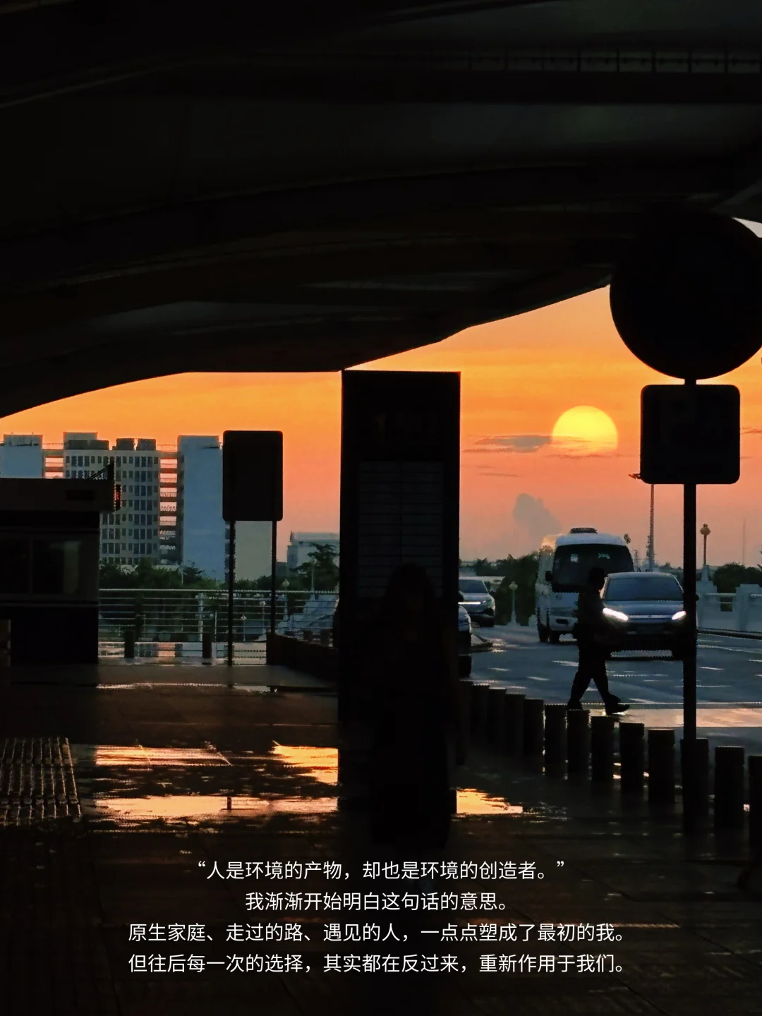 专注自己的时候，便不再羡慕任何人