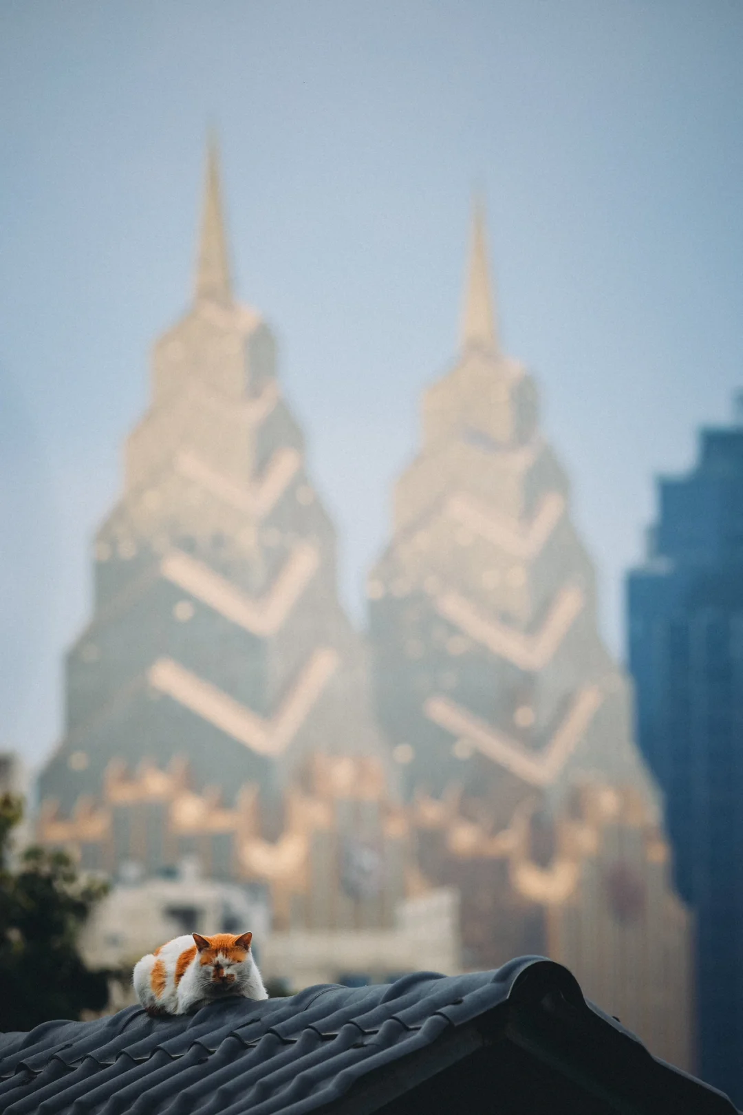 白光集的年会和摄友扫街马鞍山🌈❤️