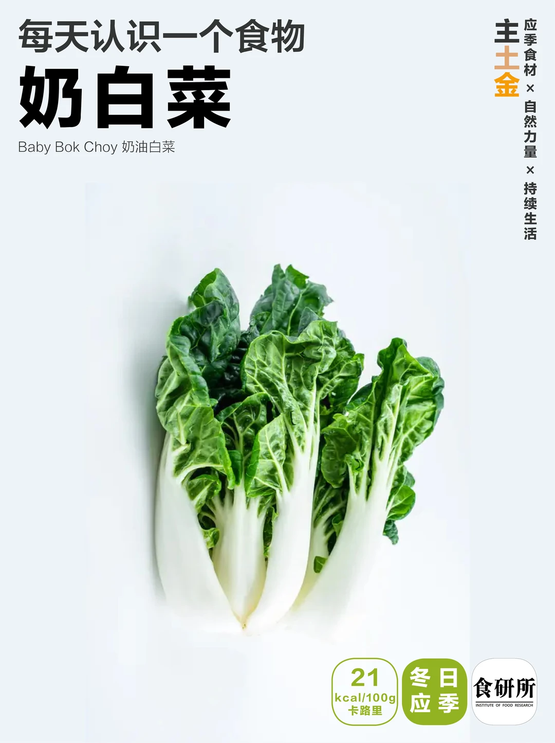 🥬奶白菜 | 餐桌上的北极星