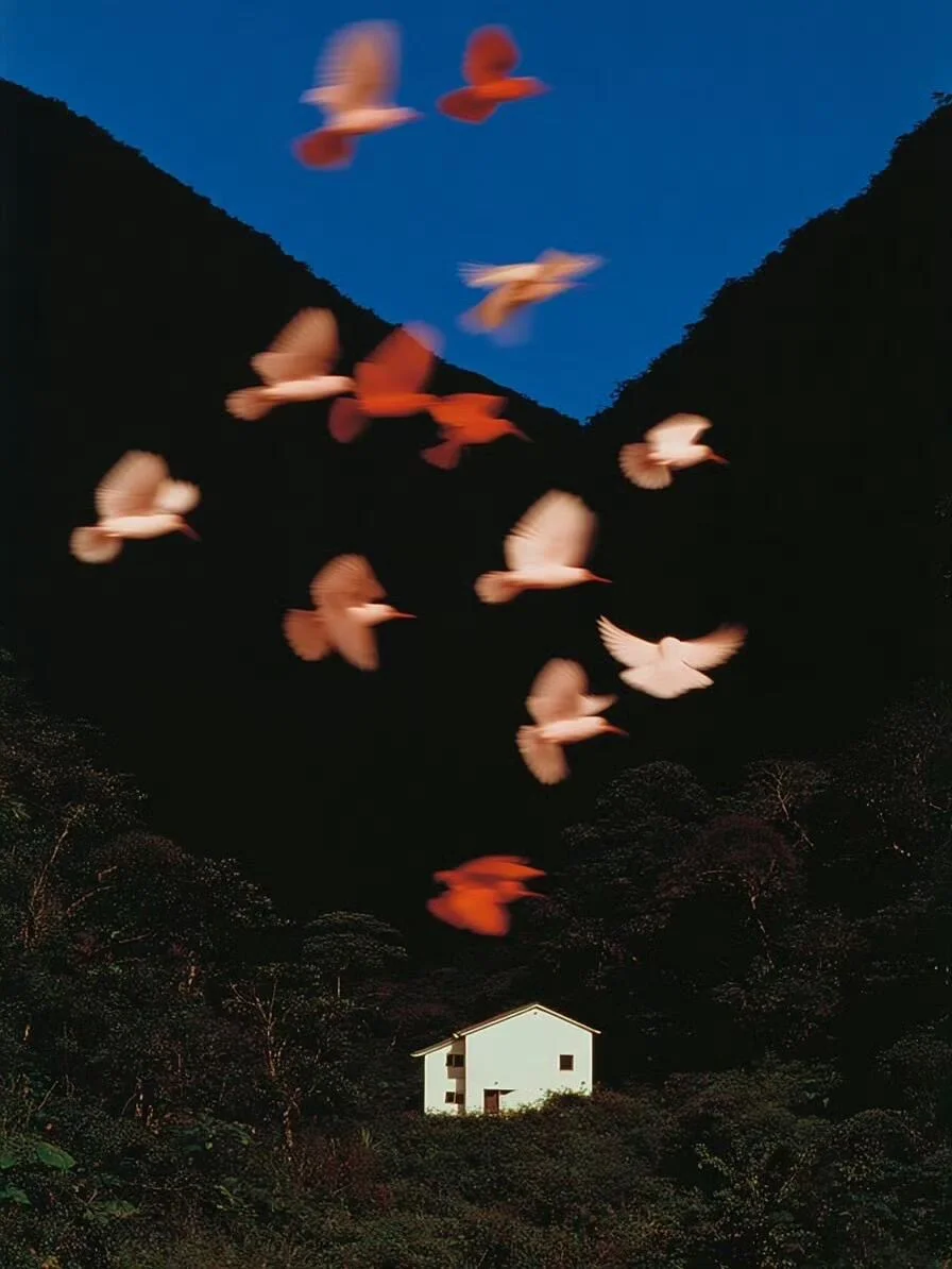 “昼夜之间的事物”