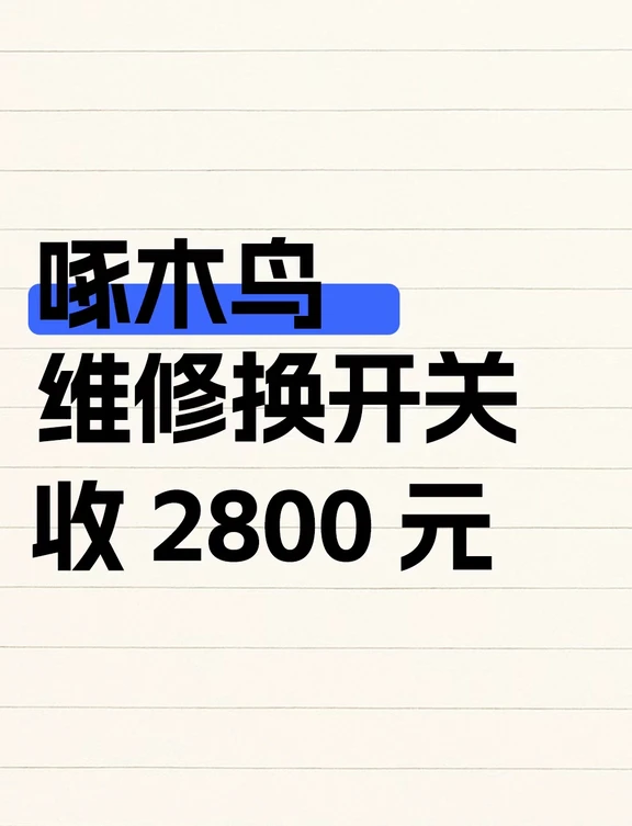 啄木鸟维修换开关，收2800元