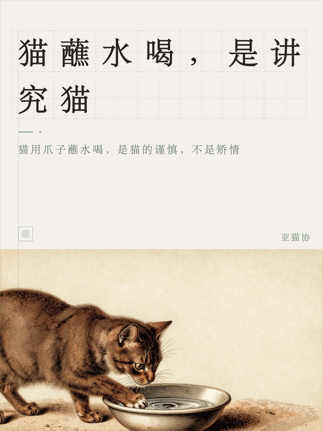 猫蘸水喝，是讲究猫