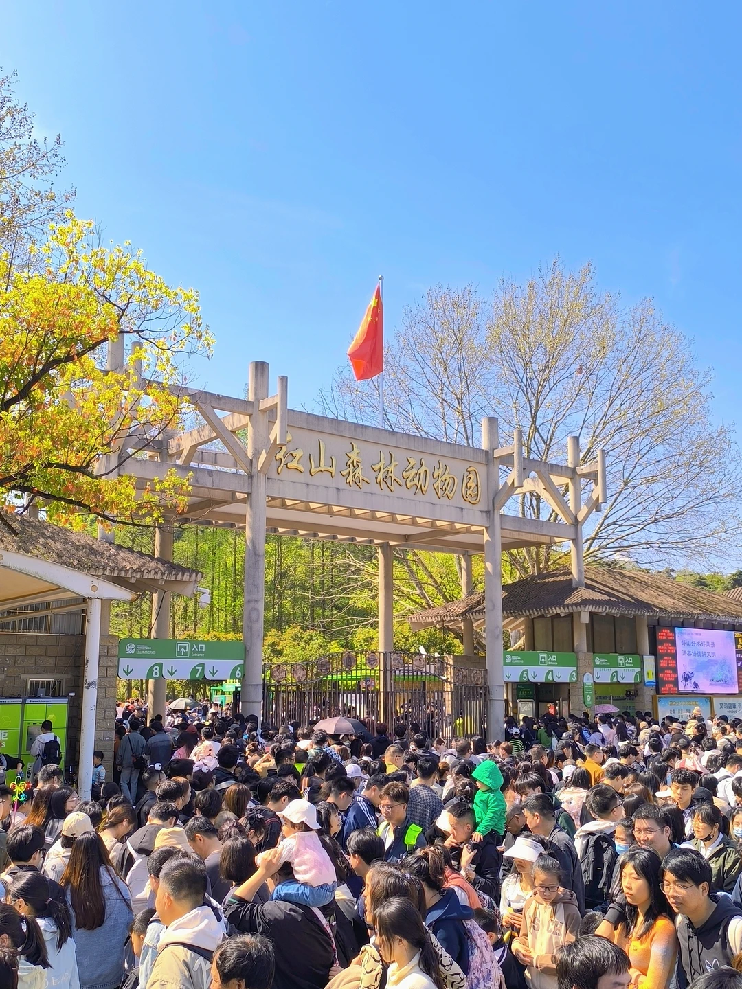 南京红山动物园暴走两万步！全园不走回头路