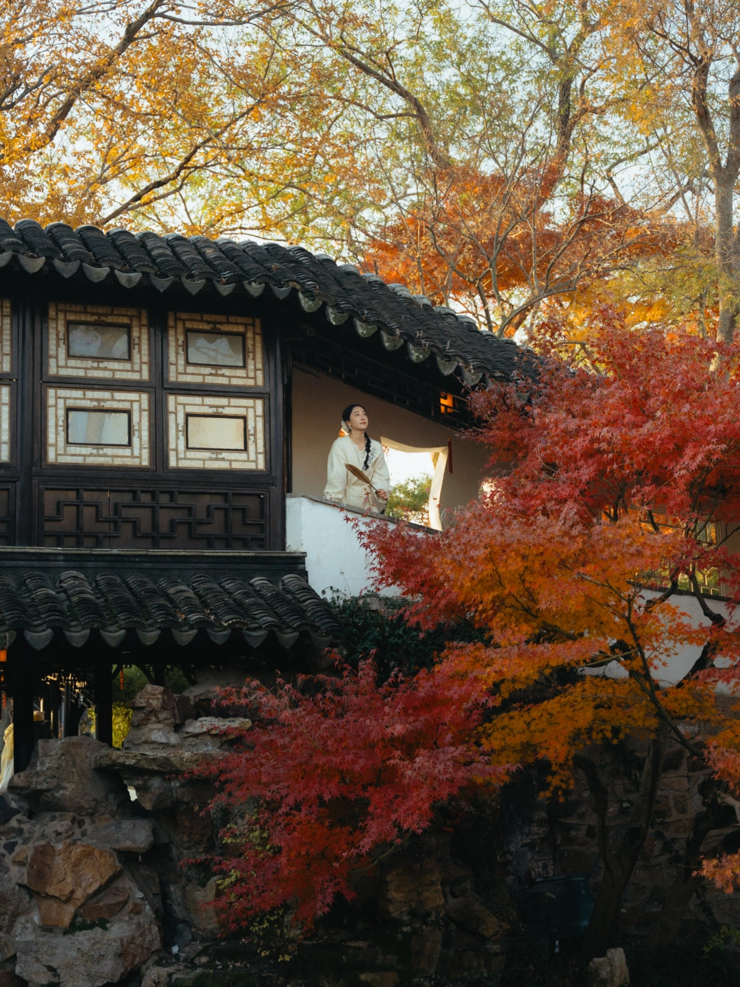 12.7实拍🍁姑苏暮秋，中式美学的顶流！