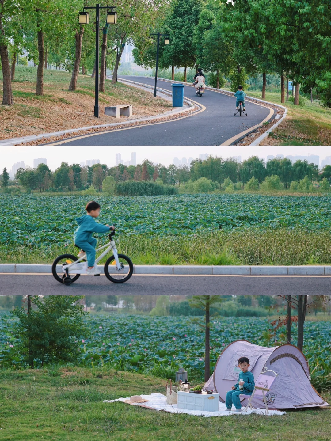武汉徒步骑行宝藏地|荷花满塘野餐露营yyds