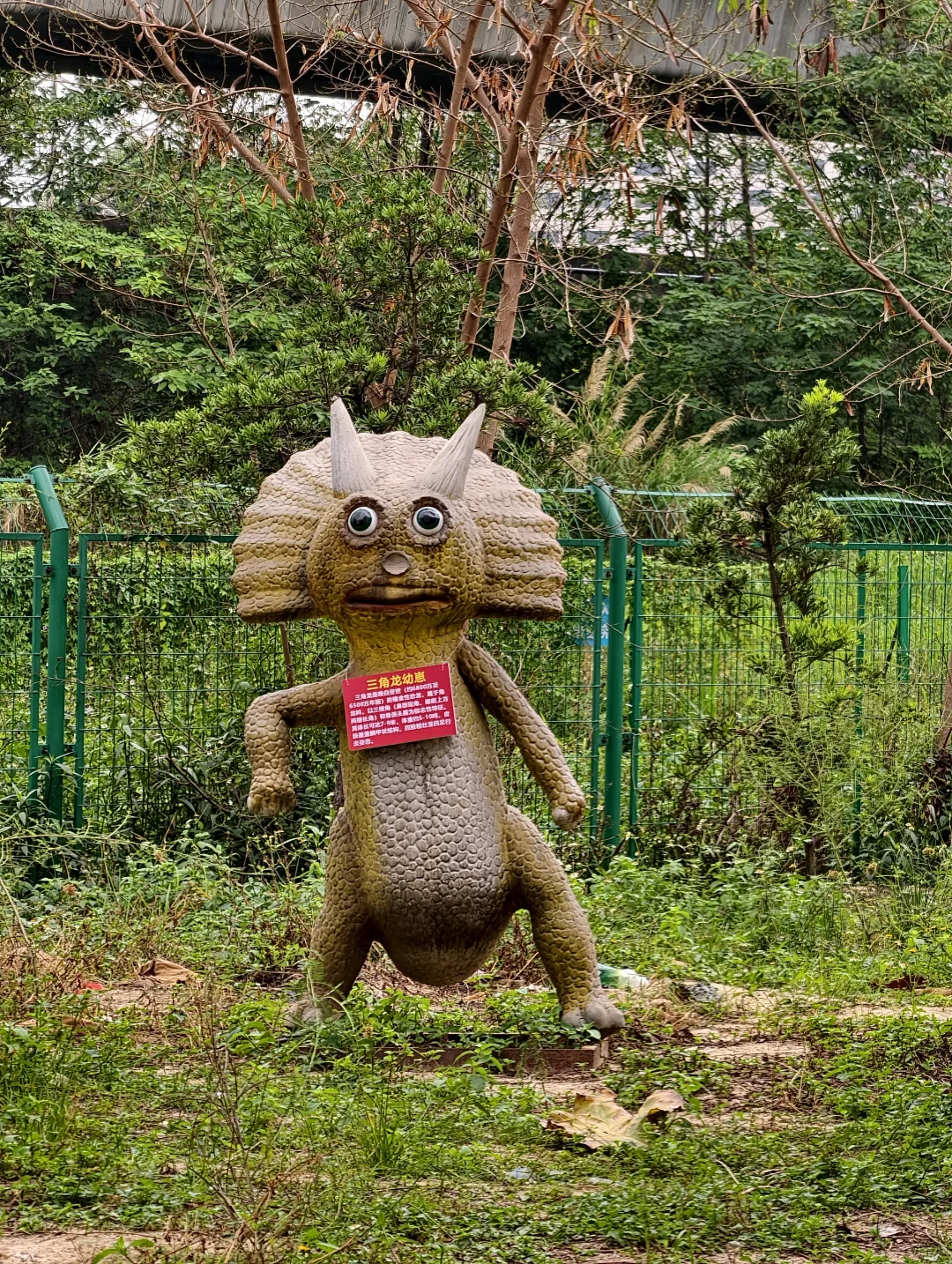 我也是有生之年见到三角龙的“幼崽”了