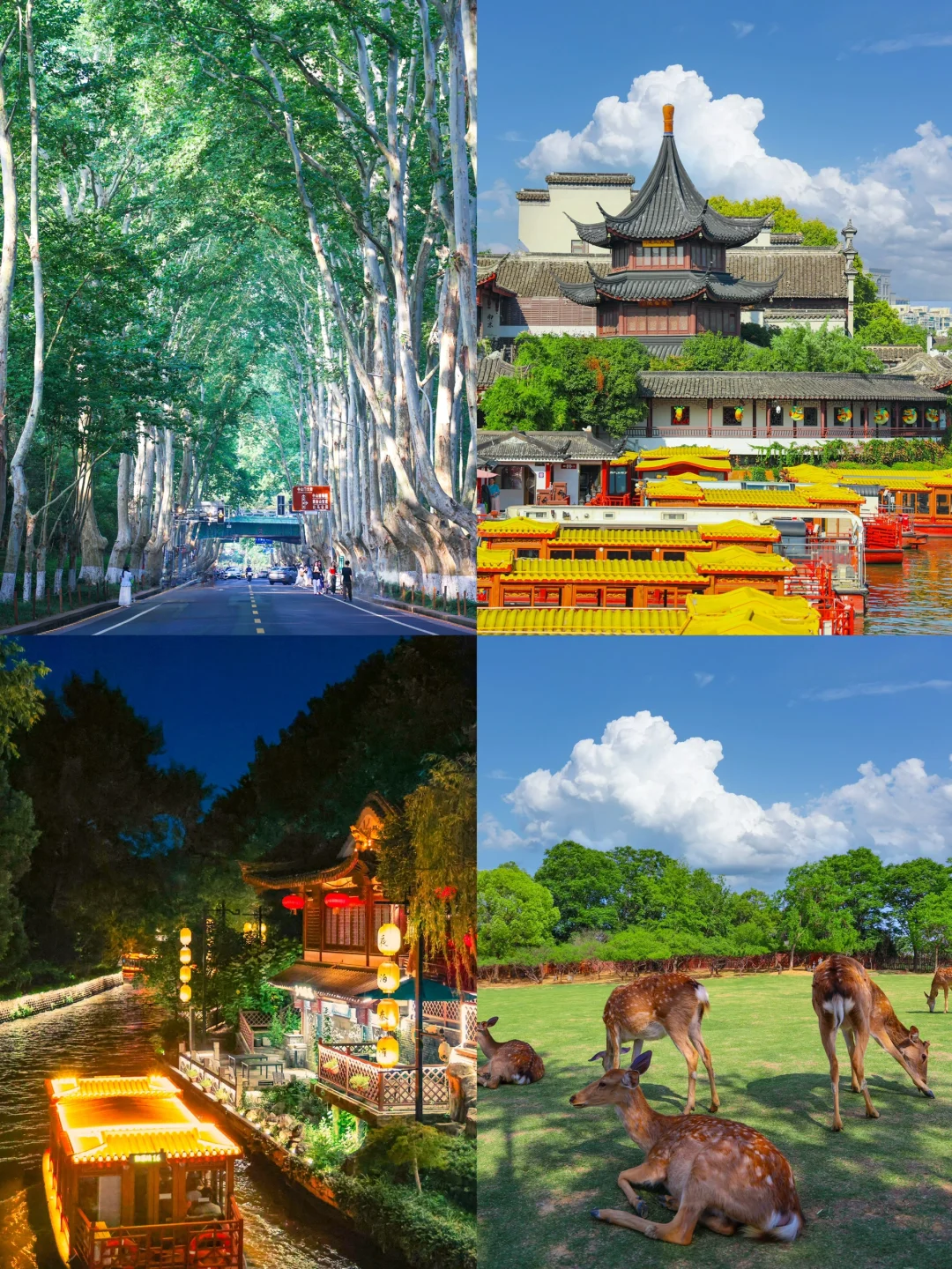 对我的南京国庆旅游攻略！满意的睡不着。。