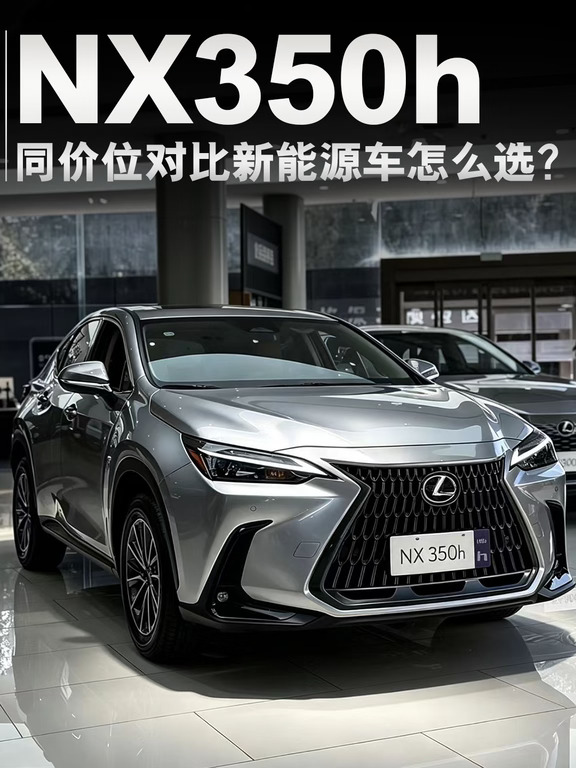 同价位｜NX350h VS 新能源 怎么选？