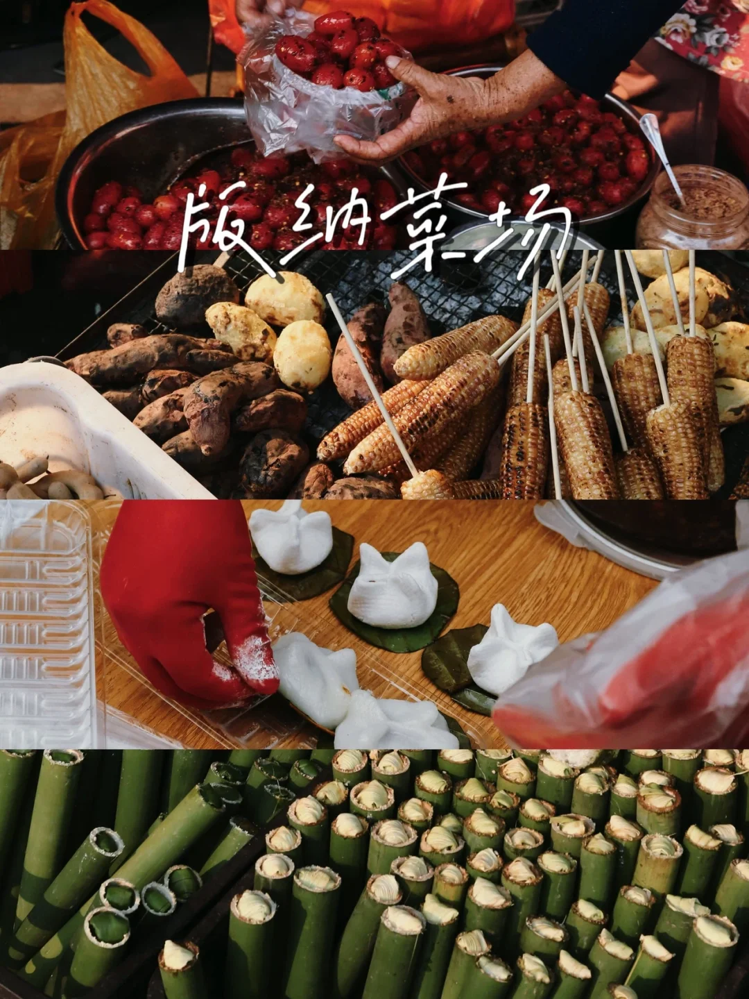 多少次来西双版纳都是为了这里🤩