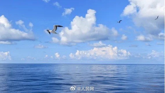 【#跟着海警舰艇看祖国万里海疆#[心]】#每日读画#碧波之上，东海如绸缎铺展，晨光碎金；南海深处，黄岩岛如浪间明珠，静卧碧波之上；北海之滨，渤海与黄海交汇成水墨长卷。每一缕风、每一寸沙洲，都在为这片辽阔疆域，晕染开独属于中国海疆的画卷。戳图↓↓循着海警舰艇的航迹，邂逅在祖国万里海疆潮起 ​