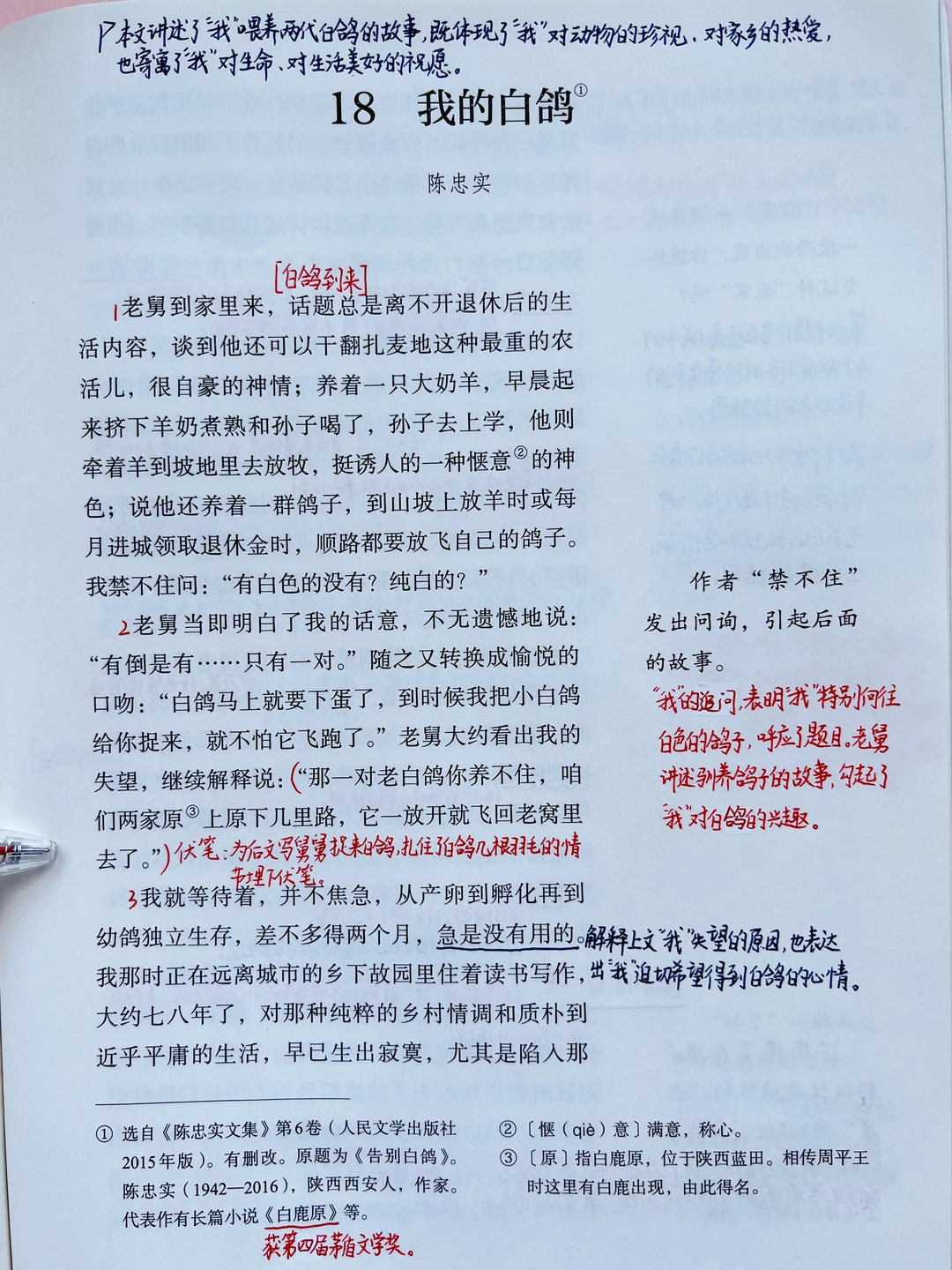 七年级上册语文｜18.《我的白鸽》课堂笔记