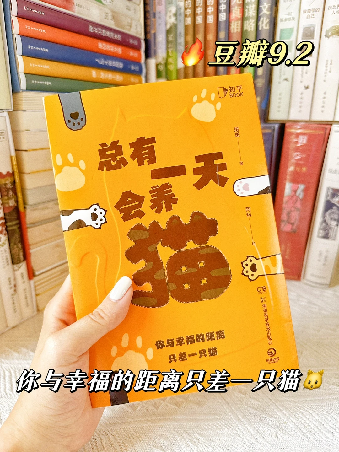 铲屎官必看‼️献给所有人的猫生答案之书～