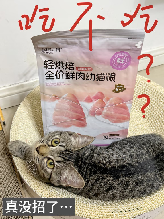 这个长肉猫粮居然把挑食怪整不会了...