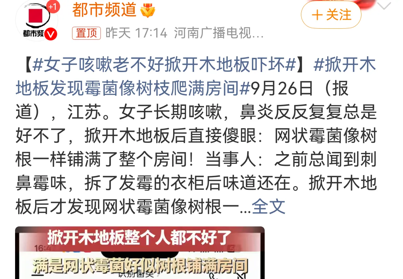 咳嗽几个月，鼻炎反反复复，吃药就是断不了根。最后掀开家里的木地板，人傻了。

江苏一位女士，长期咳嗽、鼻炎，总闻到一股刺鼻霉味。拆了发霉的衣柜，味道还在。掀开木地板——网状霉菌像树根一样爬满整个房间。

经AI识别是干腐菌。据媒体报道，这种菌不在表面长黑点，它往木头里面钻，菌丝在夹层里蔓延。等你从外