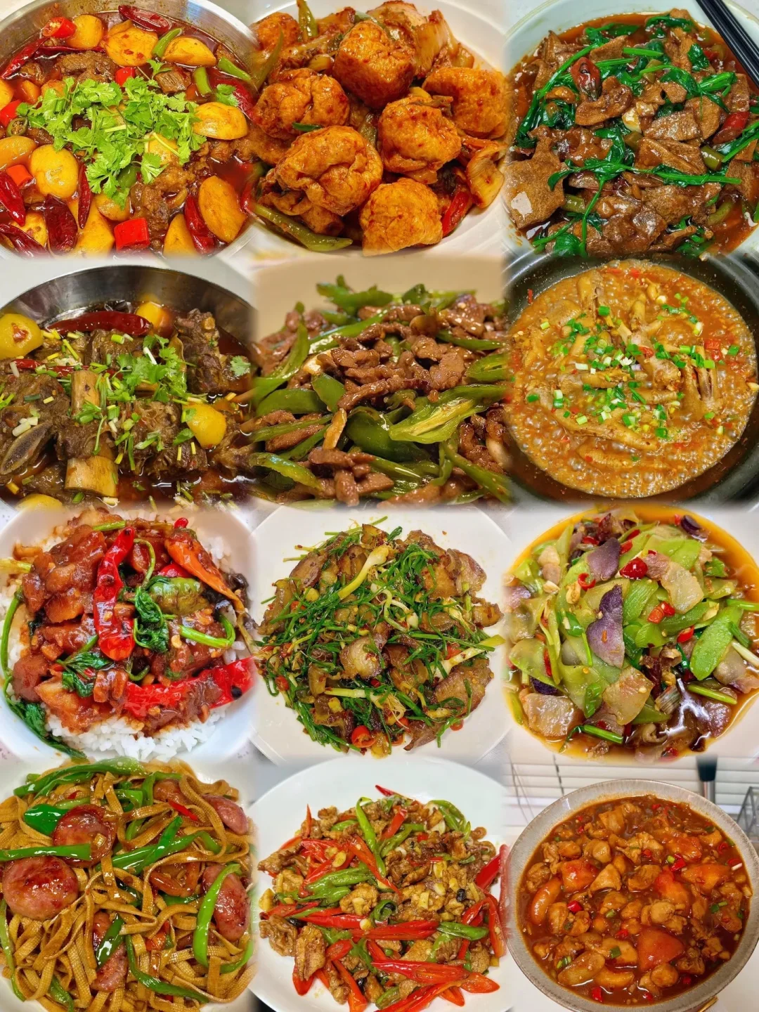 12道下饭菜、简单易做嘎嘎好吃