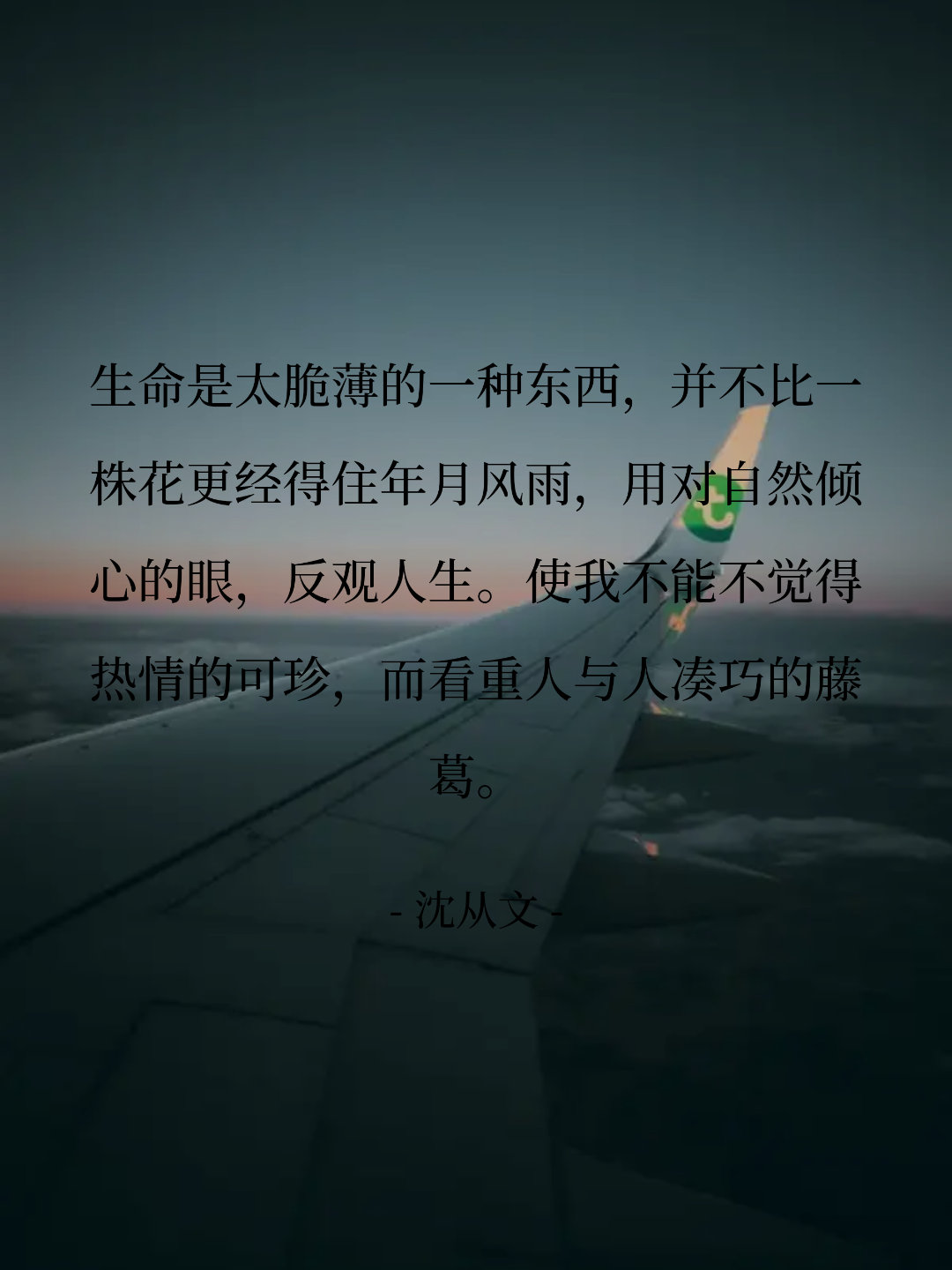 生命是太脆薄的一种东西，并不比一株花更经得住年月风雨，用对自然倾心的眼...
