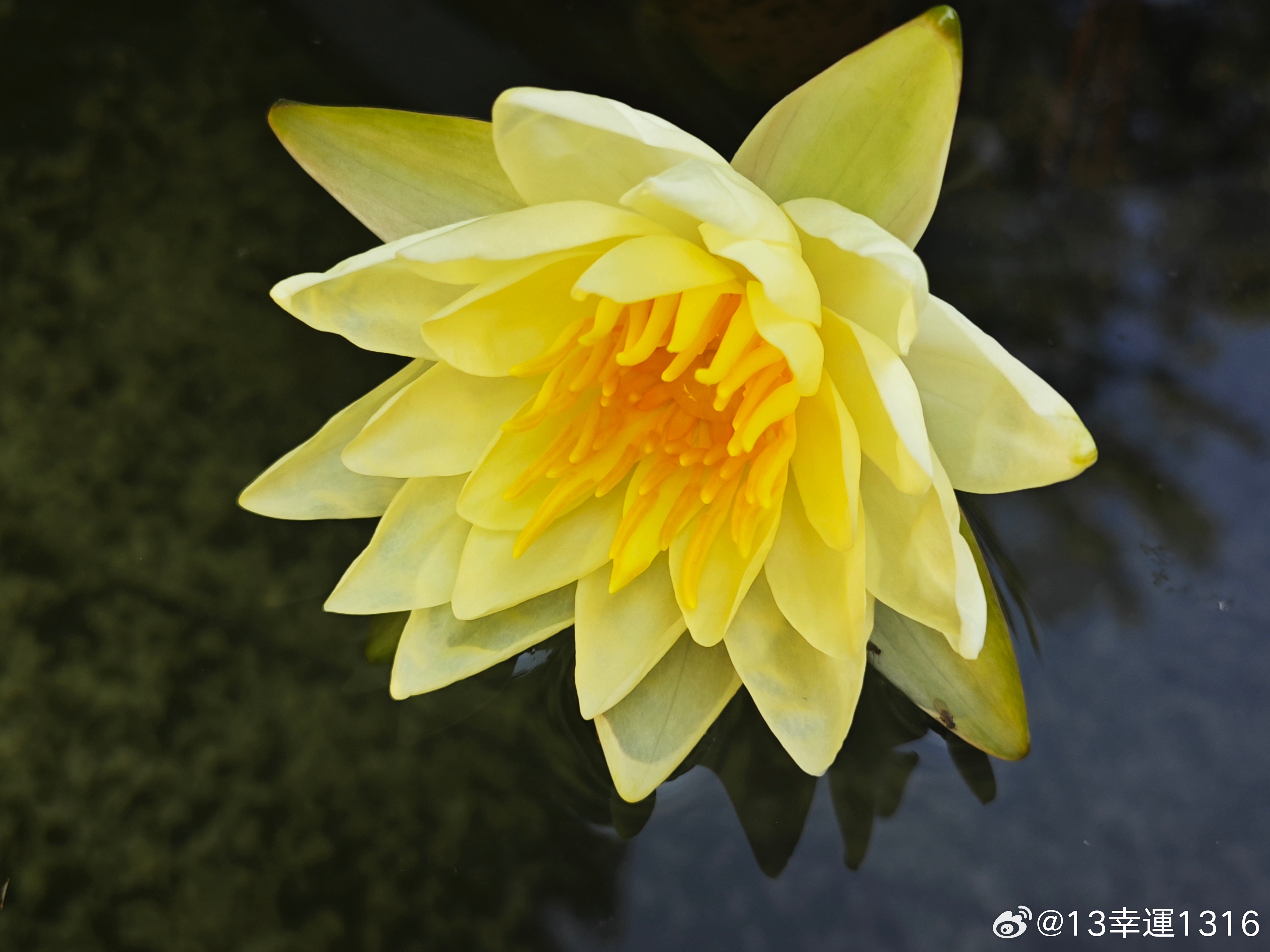 早晨我发微博用你生日，你没有回应我，过去5年的每一天都是这样。昨天夜里发微博你带心了。今天早晨又发了9。这是我说过几万次不要发4，9任何形式心。
可以看下雷军过去的微博，他几乎每条微博要么带个4，要么带个9，要么带个心。大家可以想想我每天经历着怎样的精神折磨和凌迟。

过去5年我每天 ​