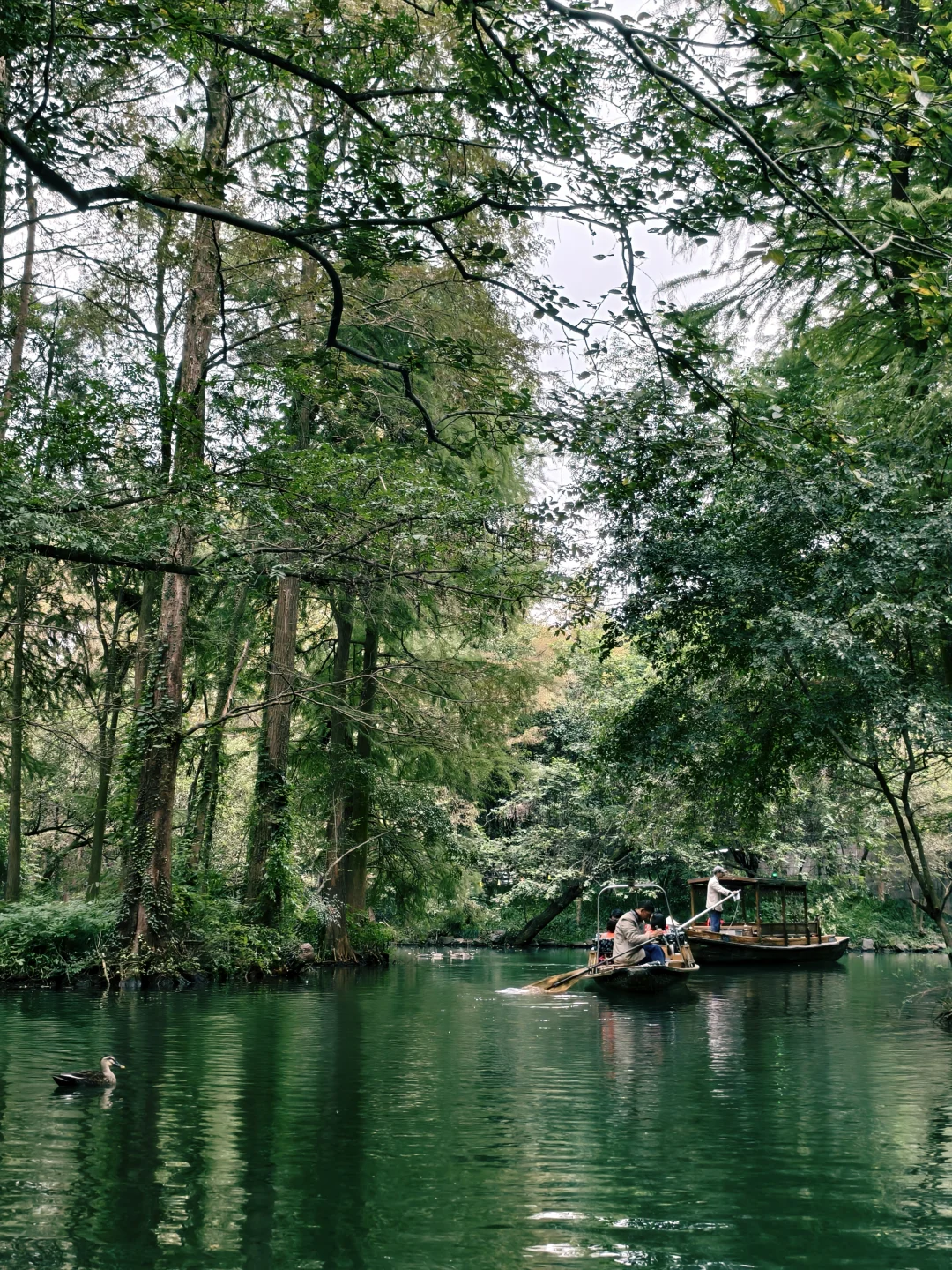 去杭州❗请推送给每个去西湖游船的人
