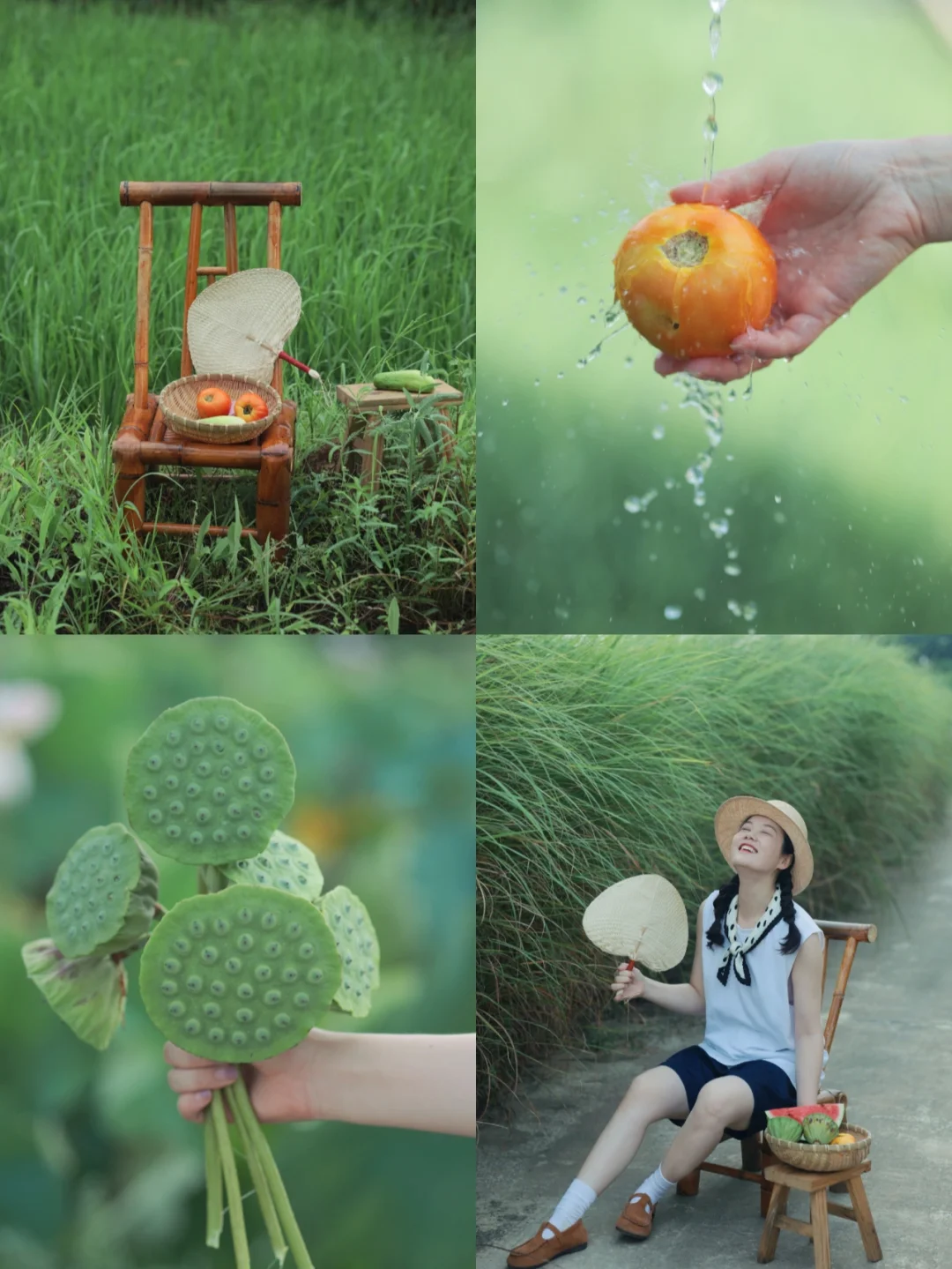 治愈小森林调色🌿穿越童年记忆里的夏天