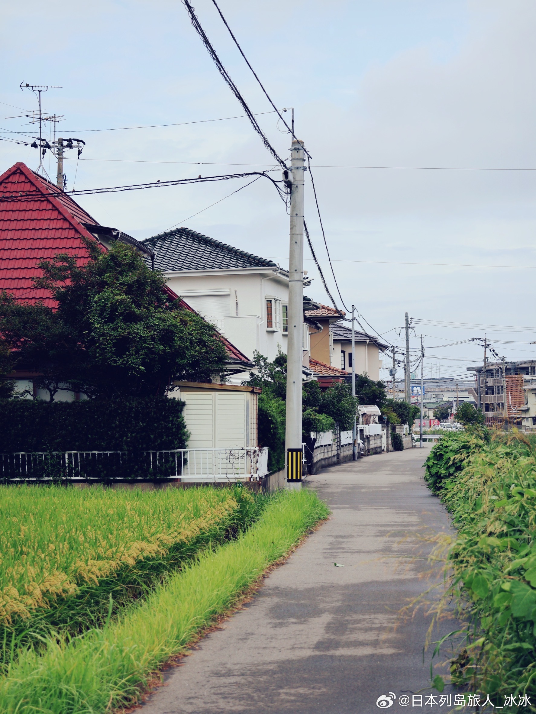 福岡市 西区 野方散步 🌼Nokata，Nishi，Fukuoka. ​​​